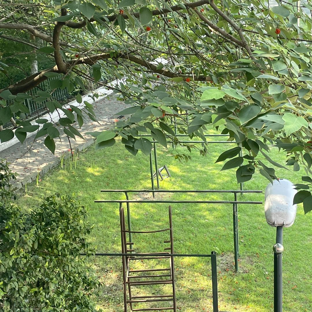 狗就不能谈恋爱吗