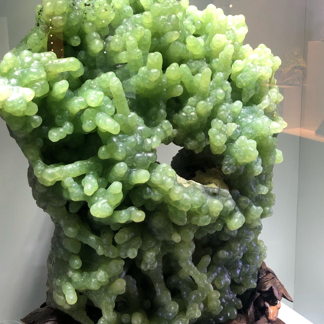 开心竹