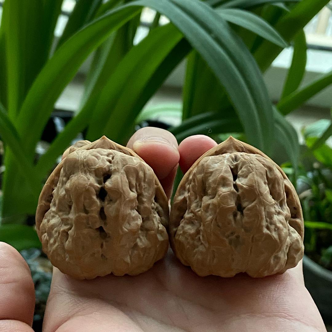 阿拉丁@神灯文玩核桃