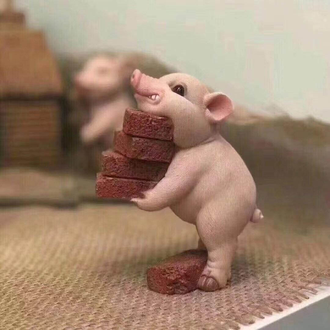 立志当上蓝总🥰