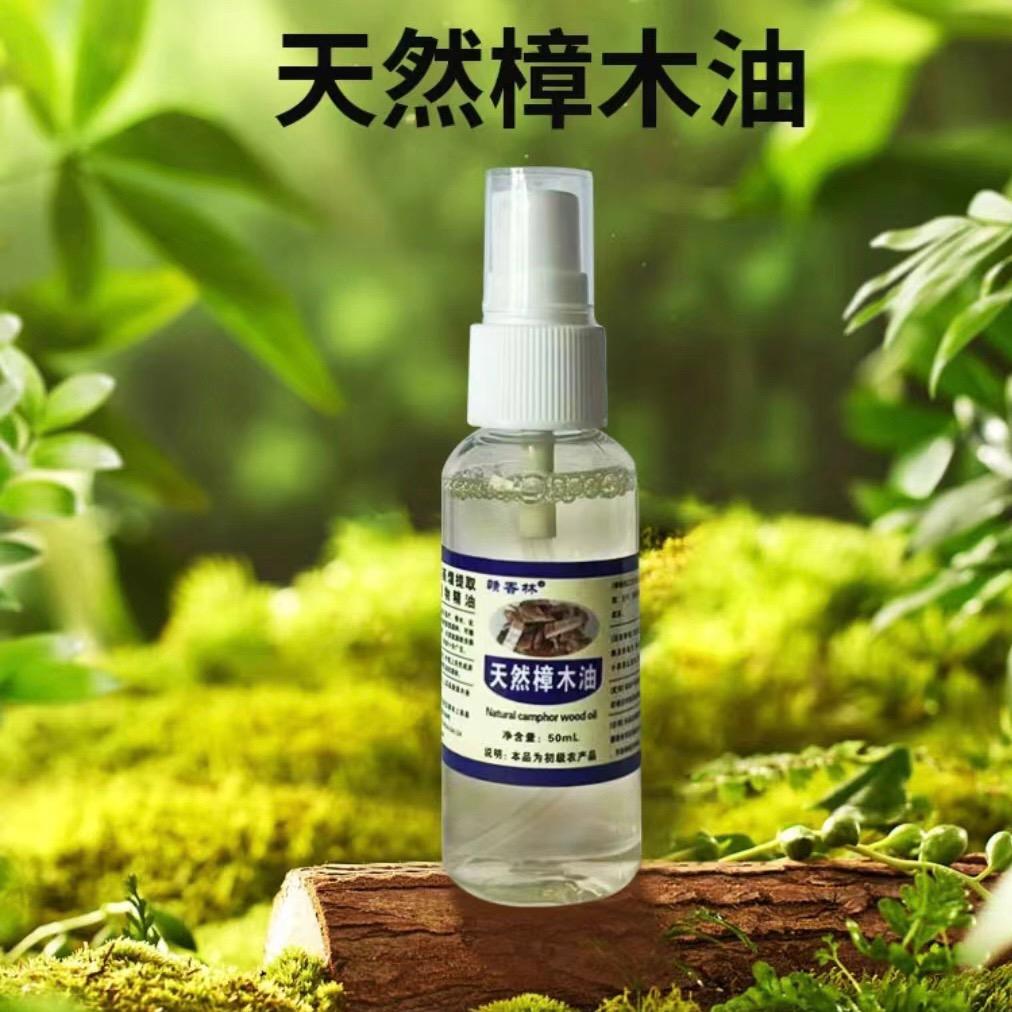 樟木油盛茂盆景