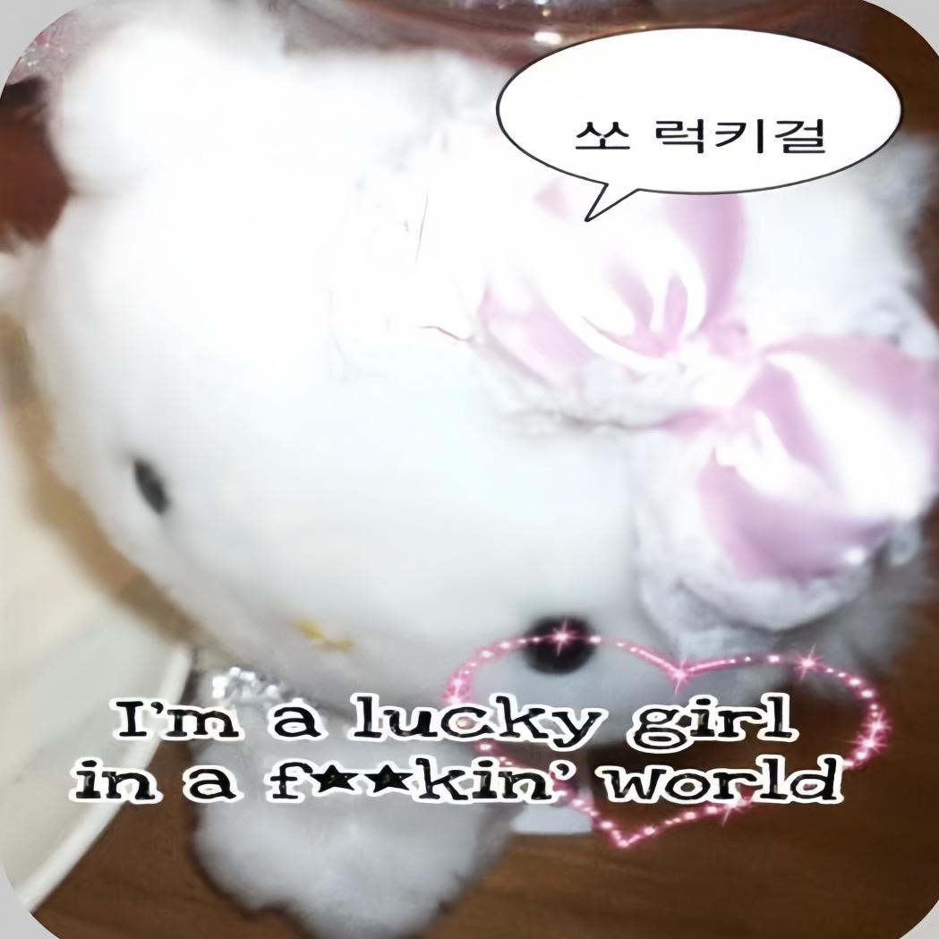 猫骨头🦴