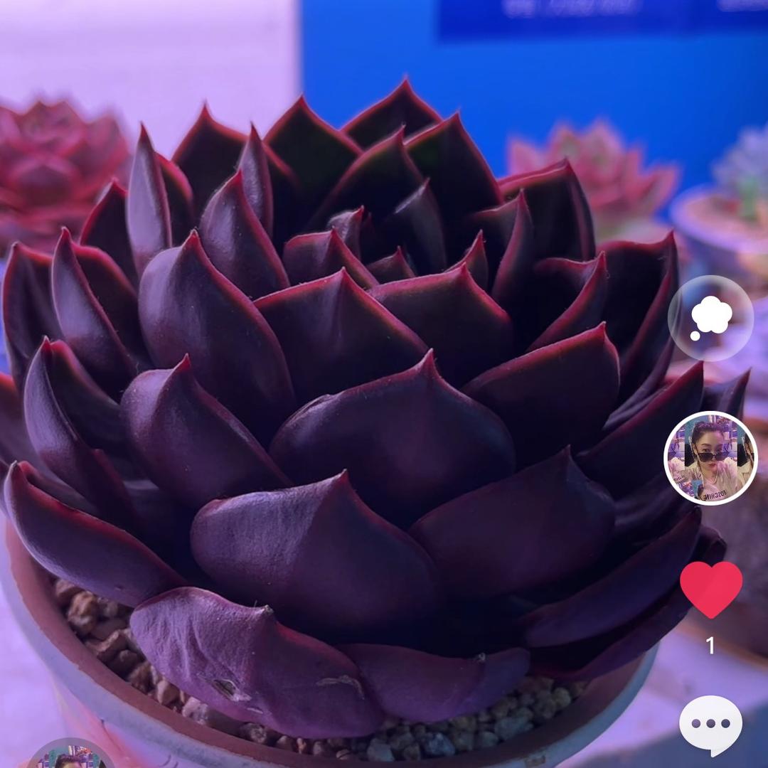 小名
