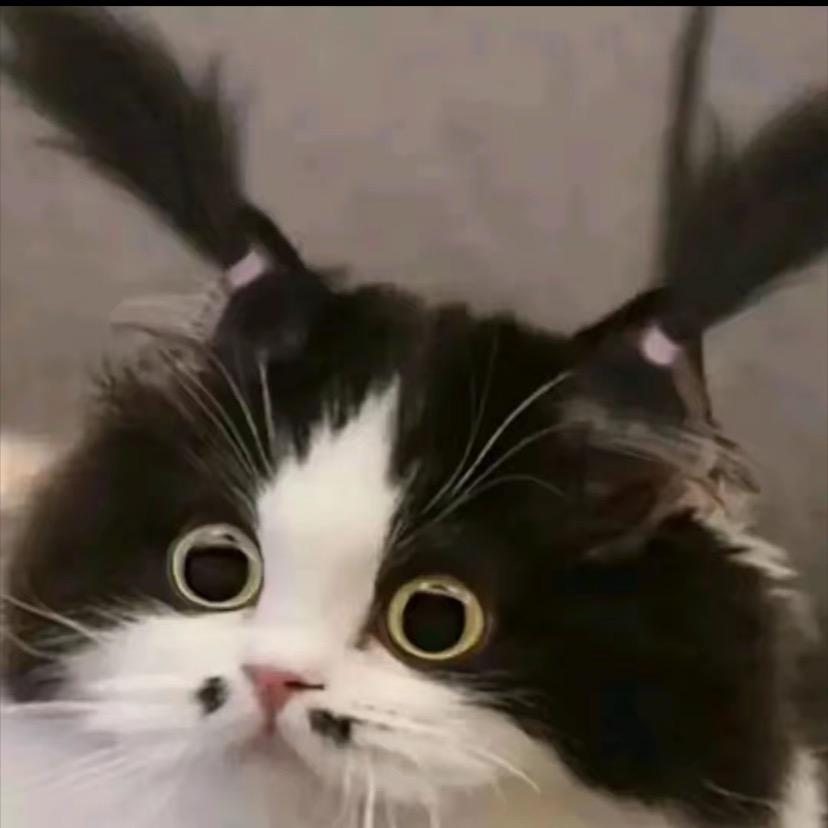 甜茶ᵍⁱʳˡ