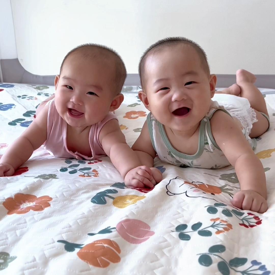钢镚 果果麻麻