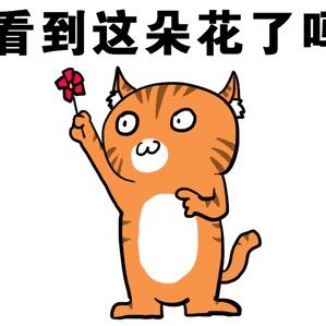 歐歐就是我