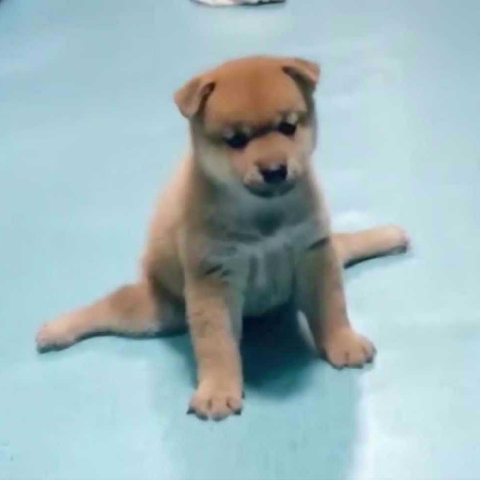 明天过后