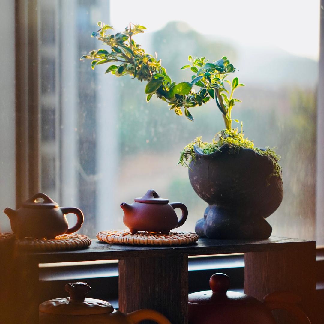 鸣山茶具