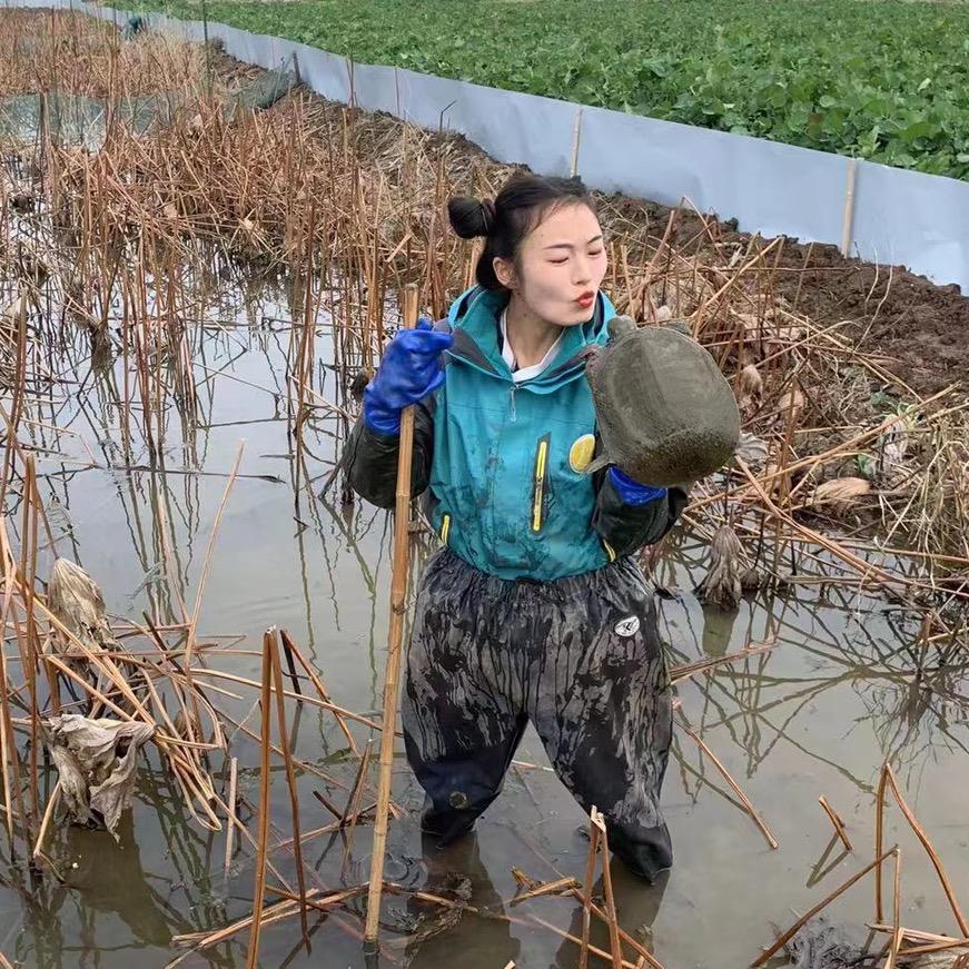 小表妹藕塘生态甲鱼