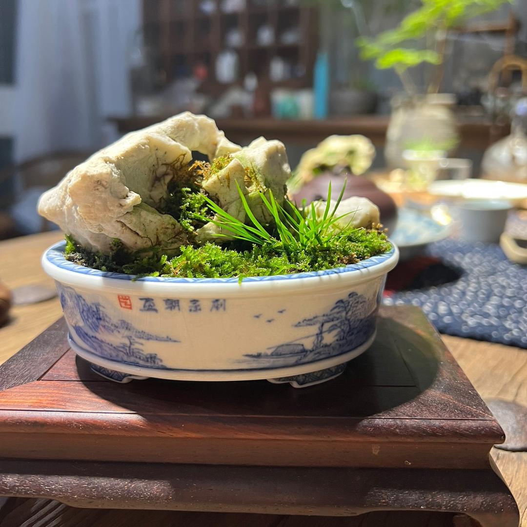 蒲舍盆景艺术非遗工坊