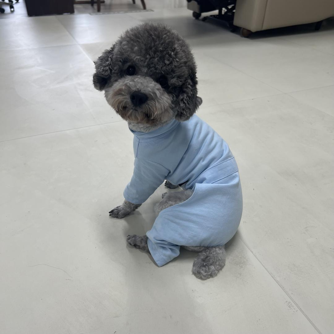 我杨杨得亿
