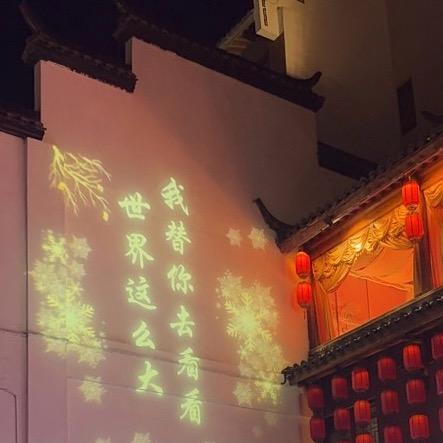 🐑了个楊（885）
