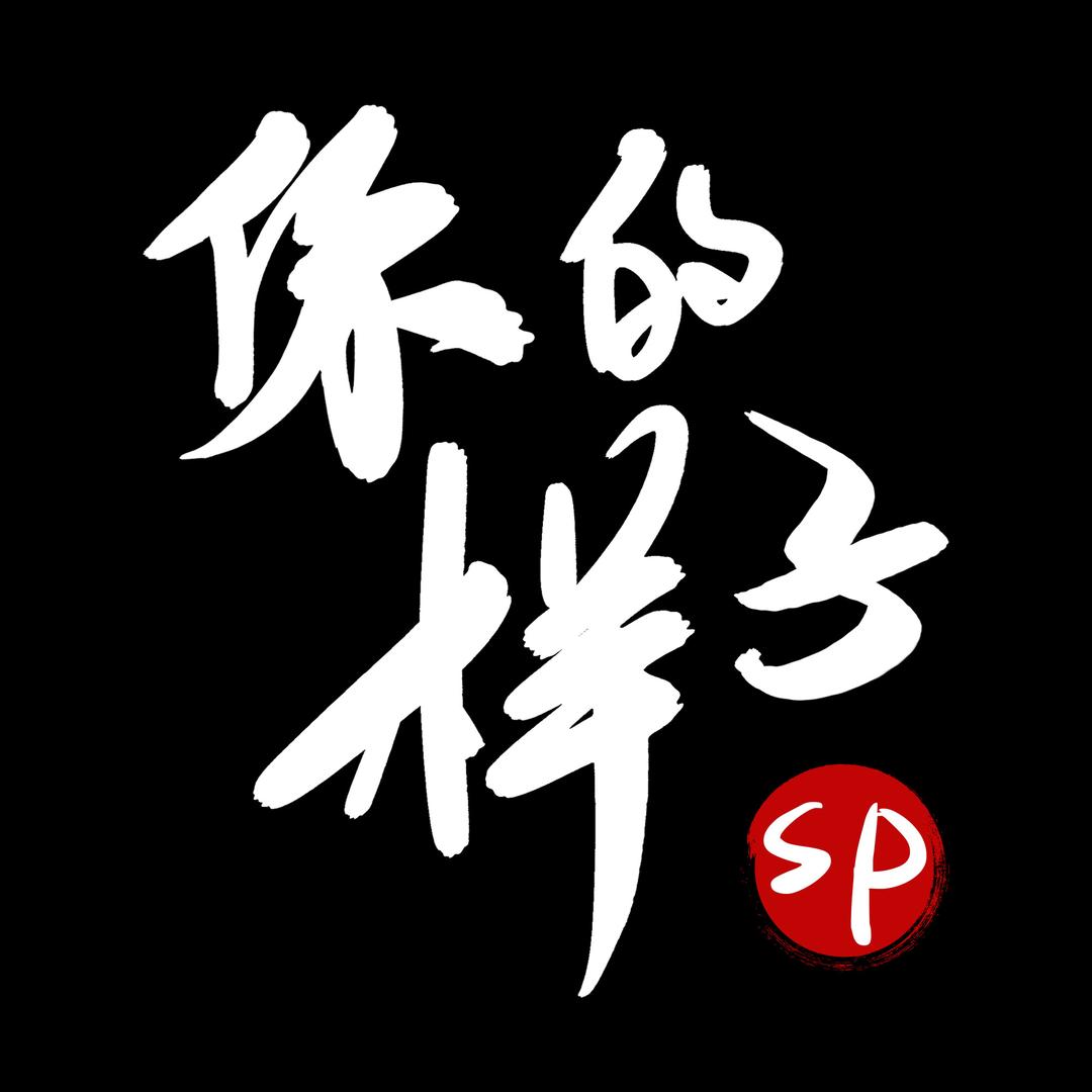你的样子SP