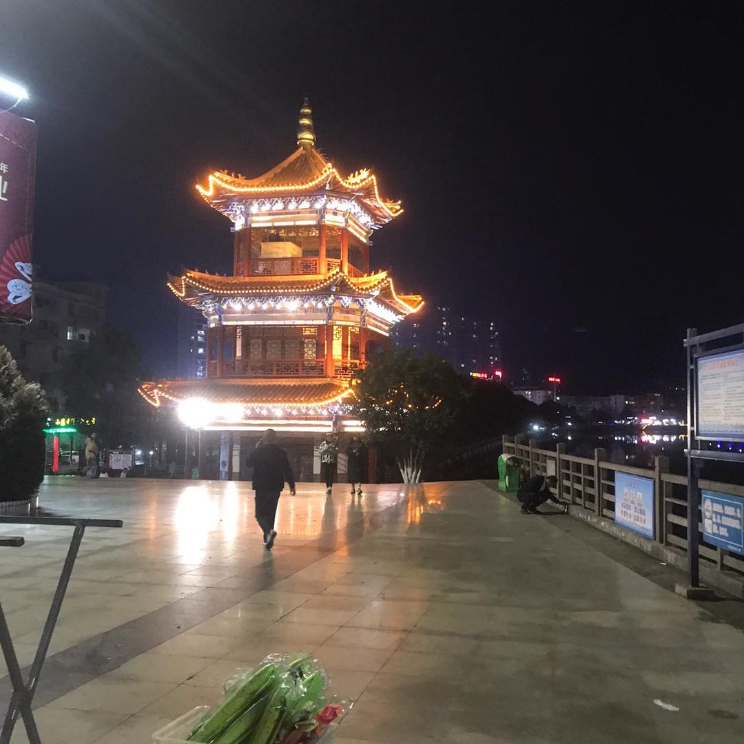 一路追逐