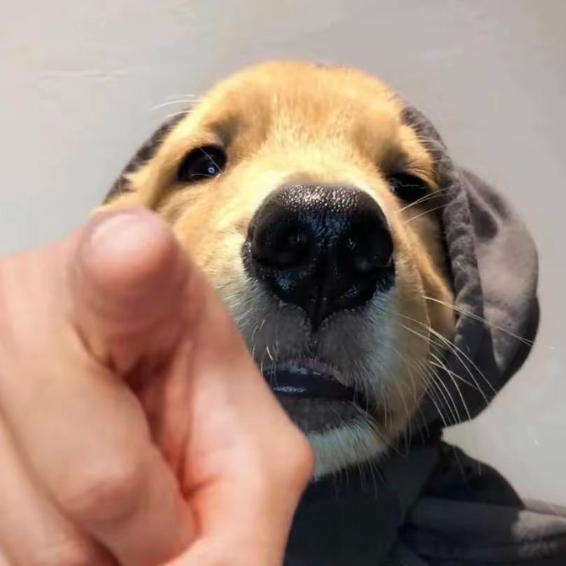 是大森