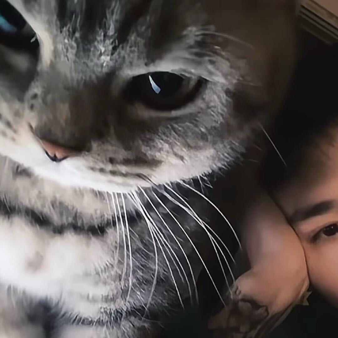 磕枪（无畏契约）