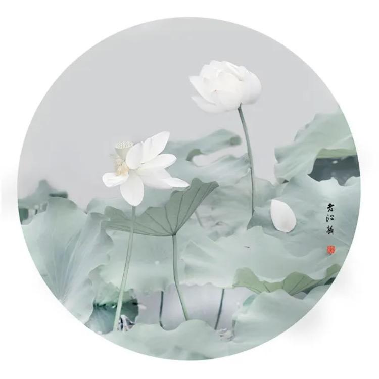空释师傅