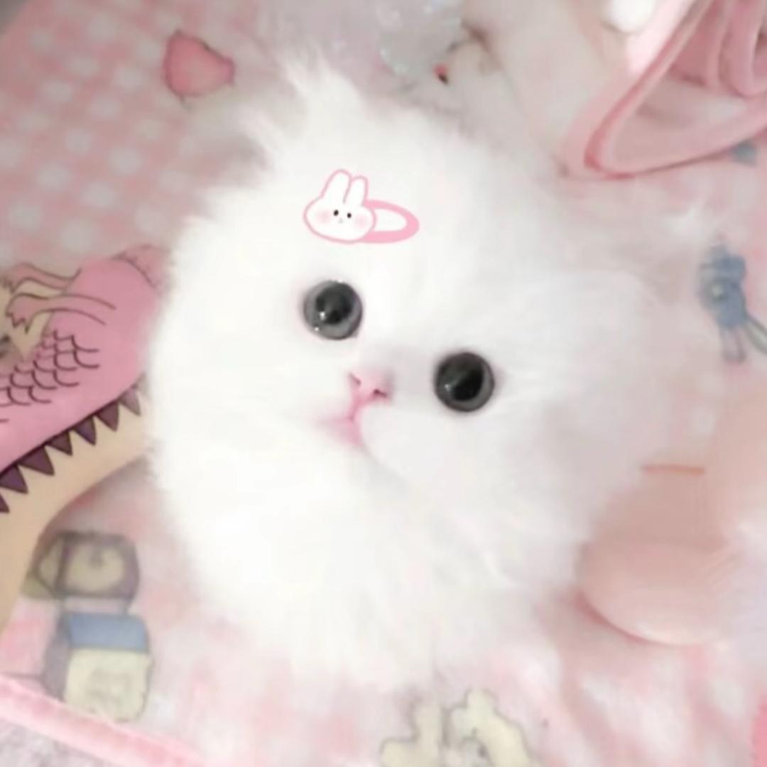 小小不点