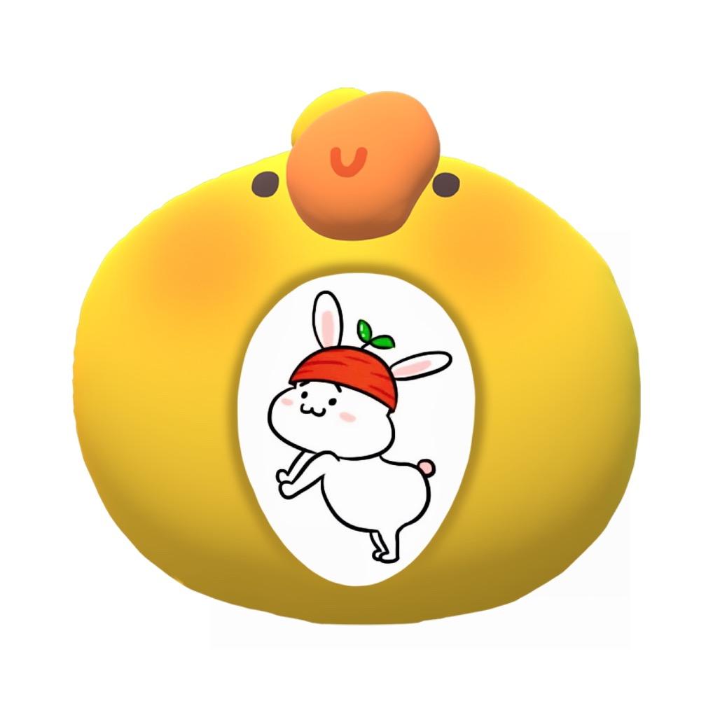 萝卜兔🐼