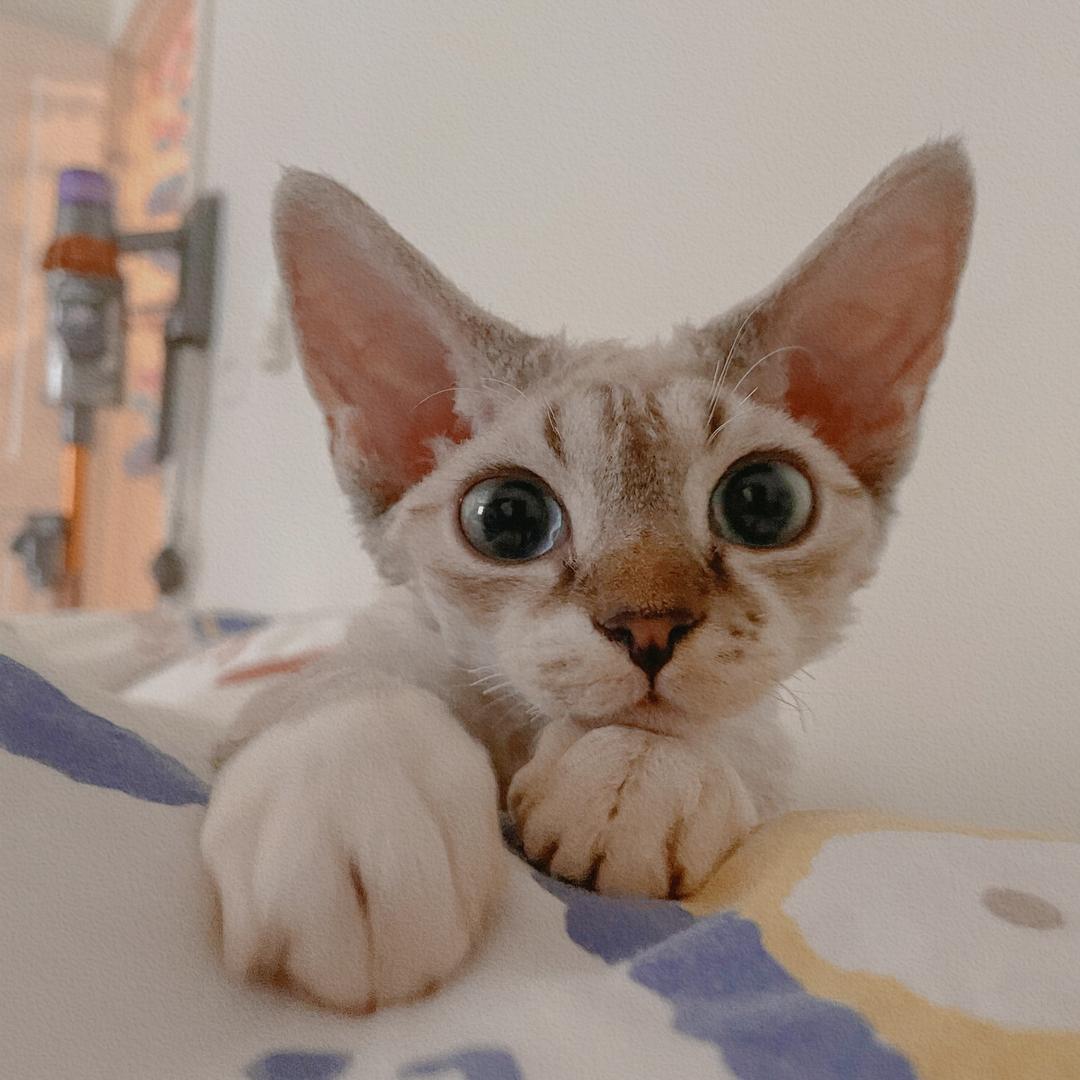 Yobiii