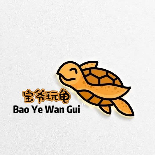 宝爷玩龟