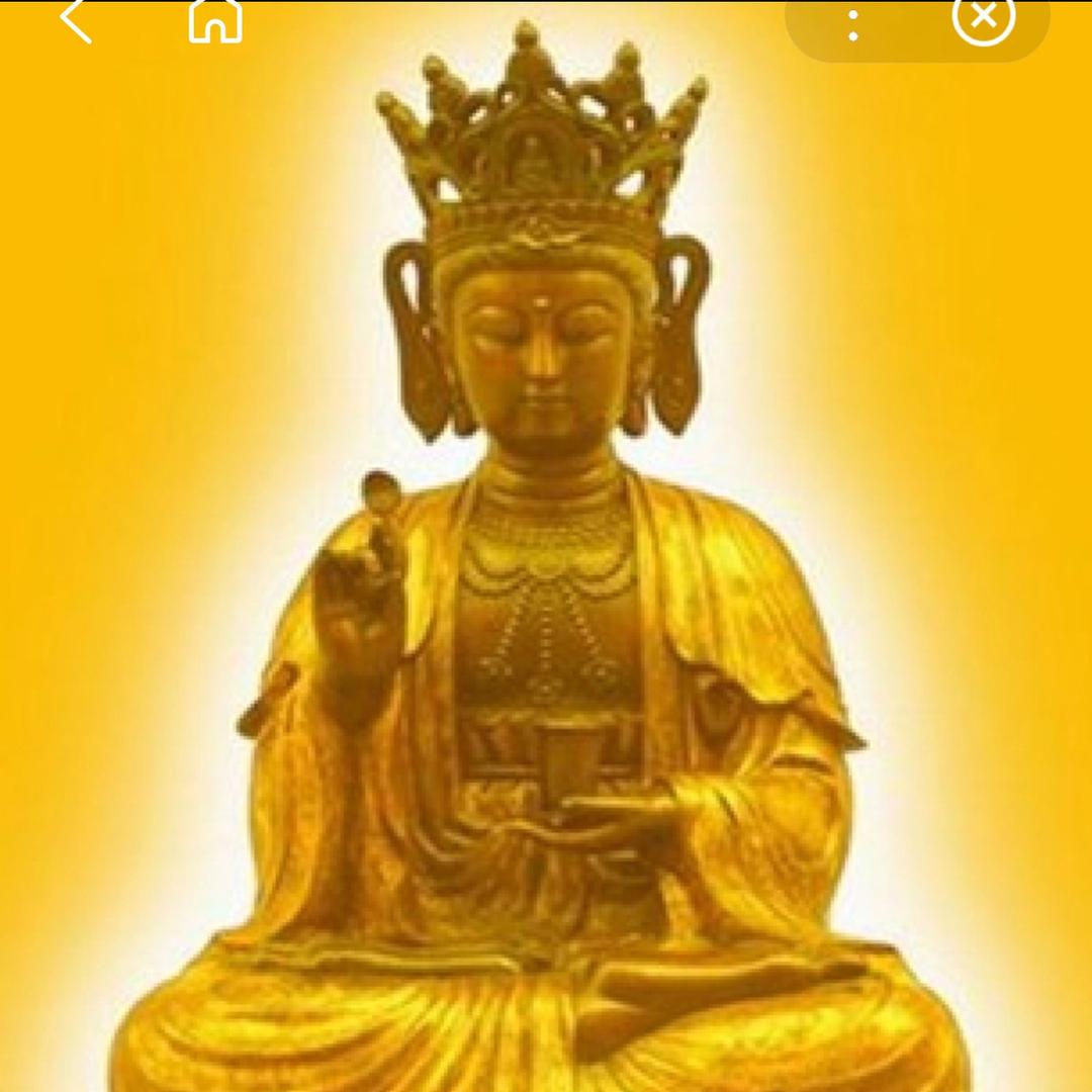 我姓戴…戴来好运