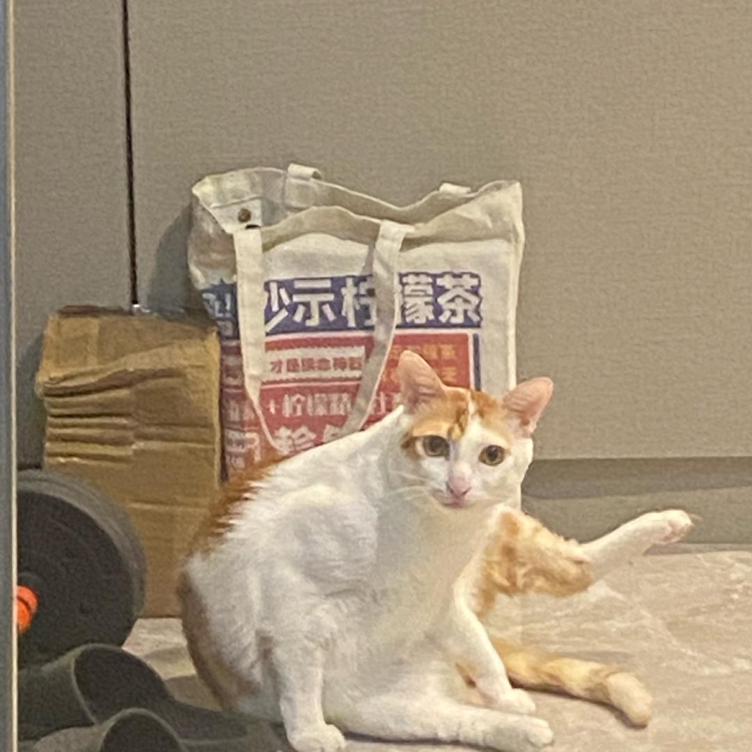 借酒家