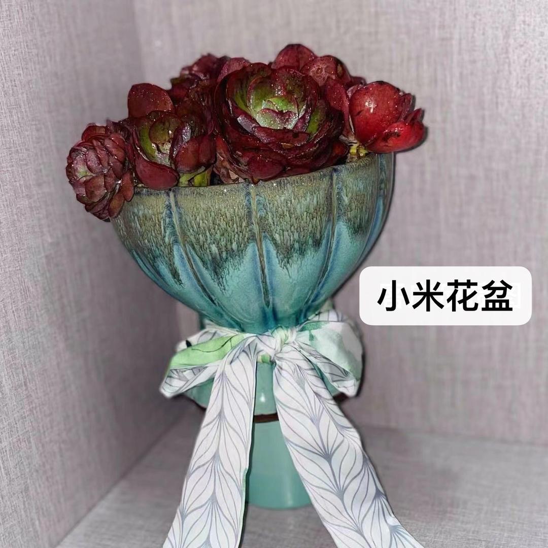 Aishang0209