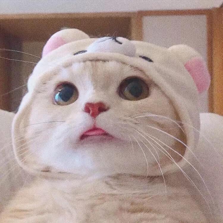 Seesea（三角洲行动）