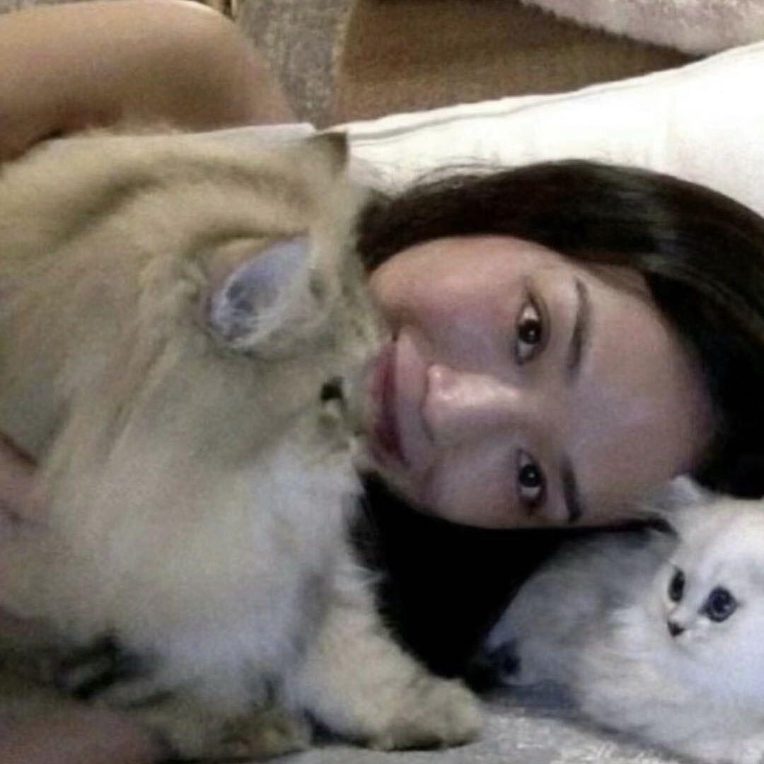 反方向的纯