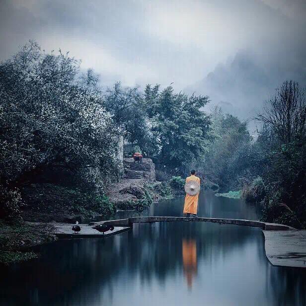 度佛禅