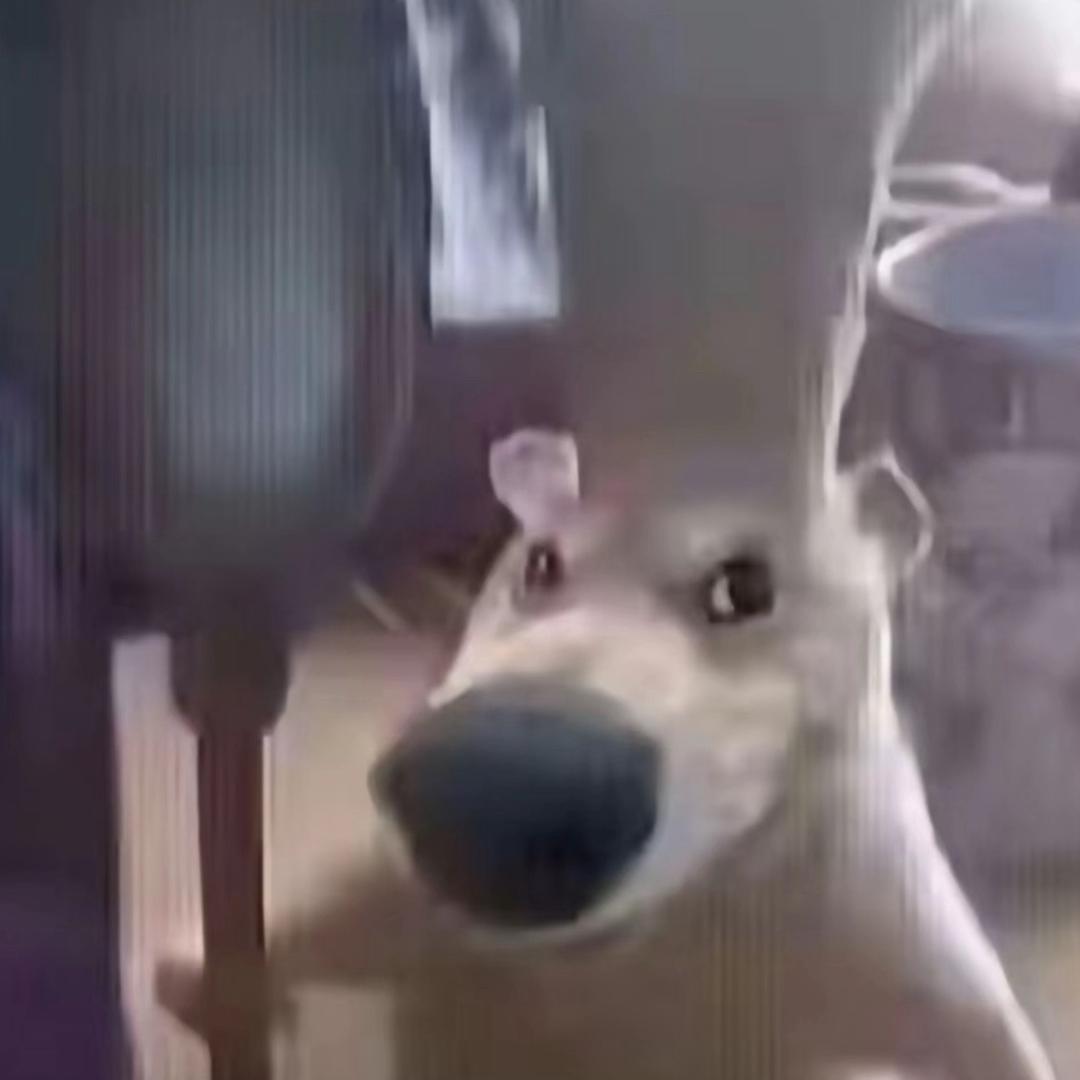 如果嘴馋是天赋