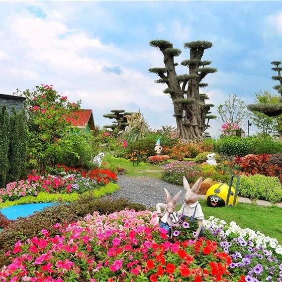 园艺达人荷兰花海