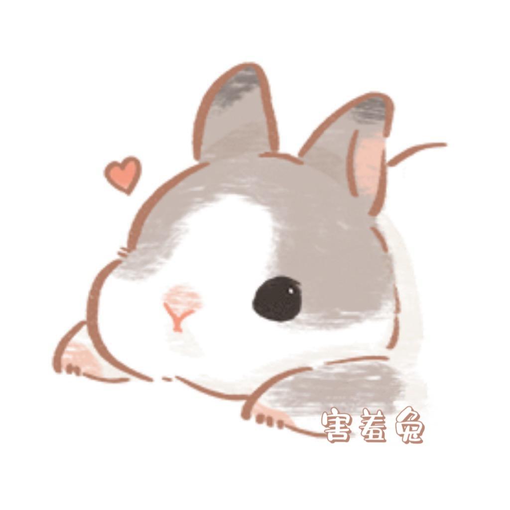 🐰害羞兔