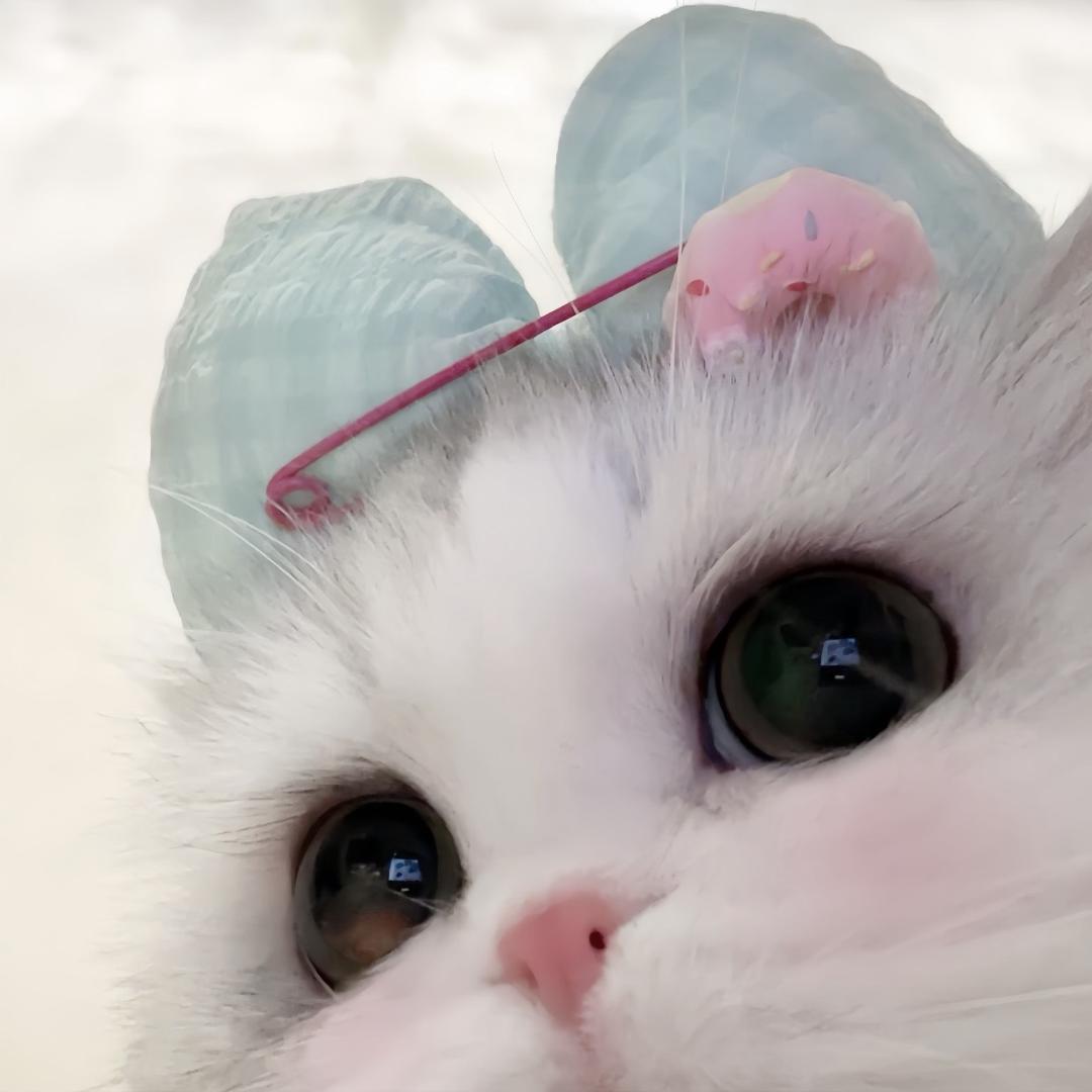 开心的冒菜