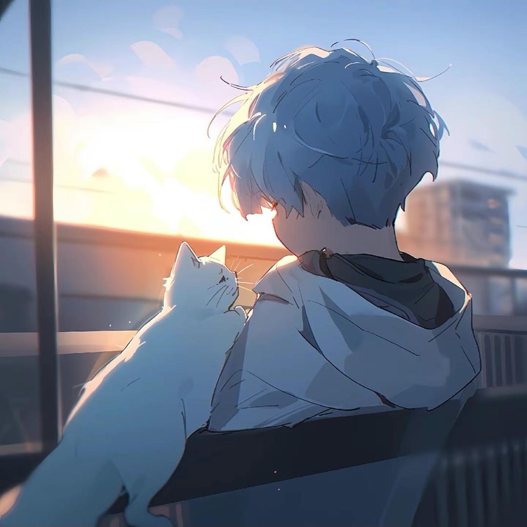 真猫百货