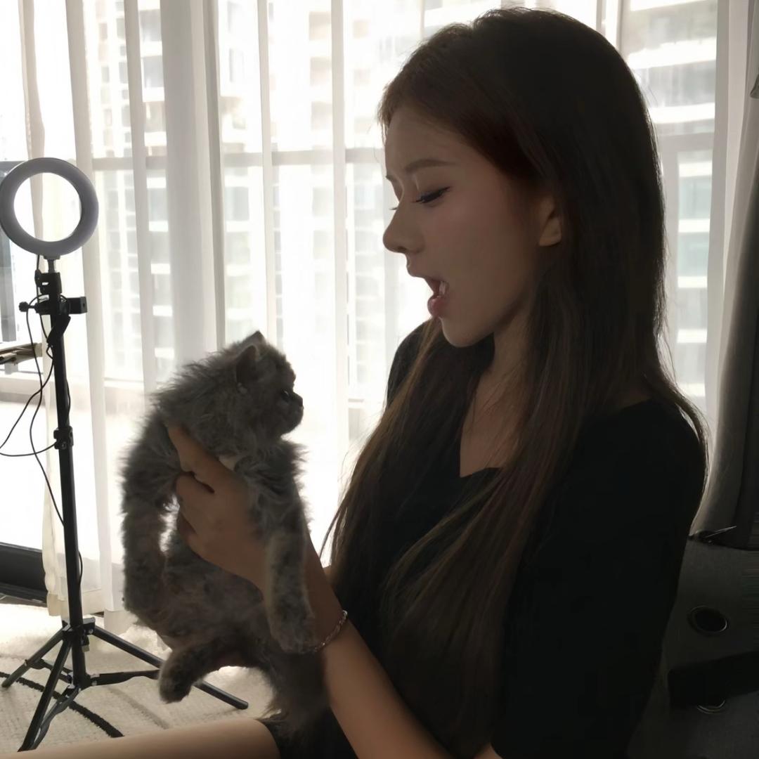 小茉莉^