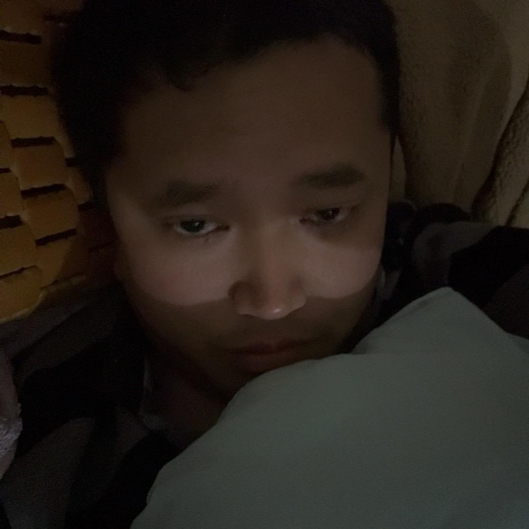 金鹏