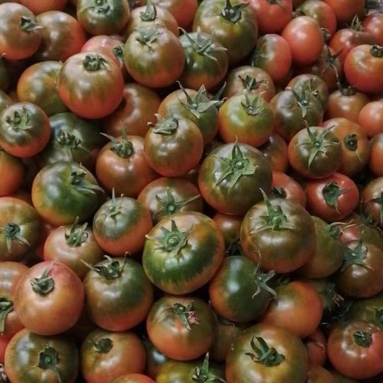 沐沐酱的小铺(盘锦碱地柿子产地)