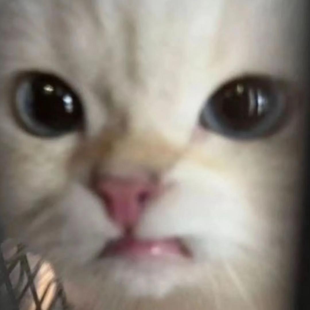 蟹蟹惠顾
