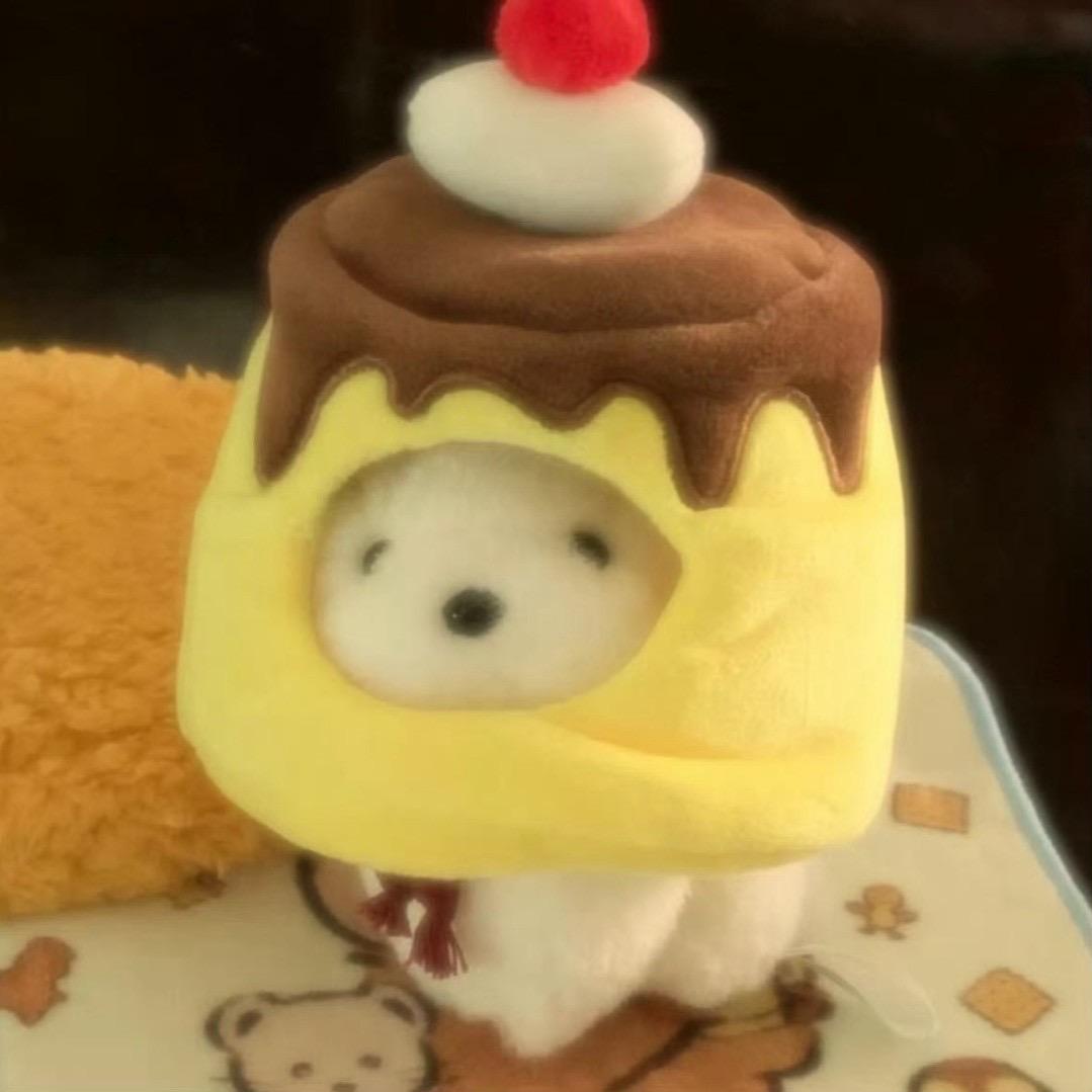 一条布丁🍮