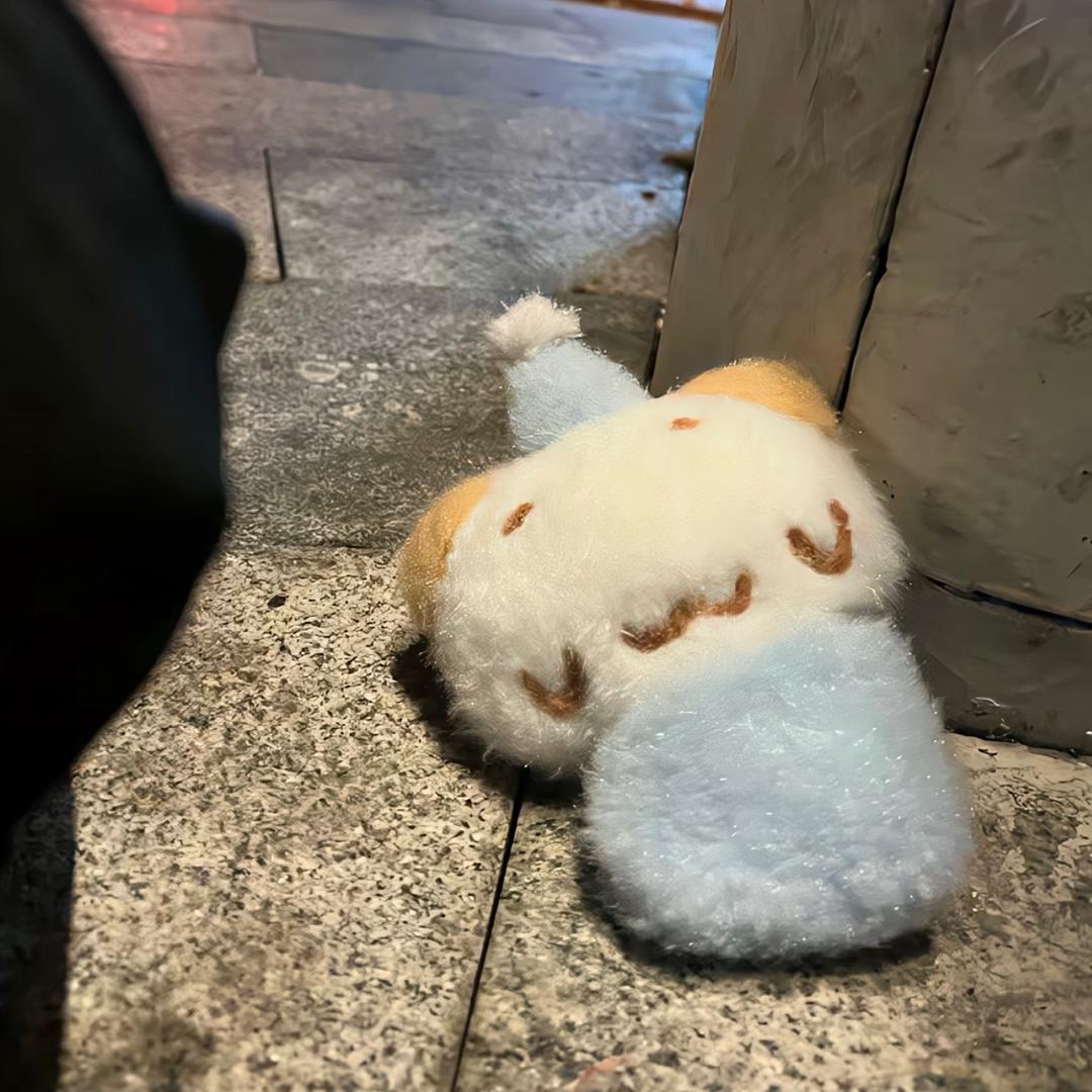 岷宝🌟
