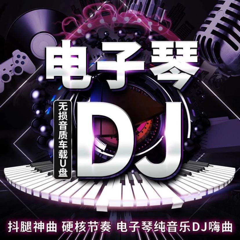 电子琴dj纯音乐