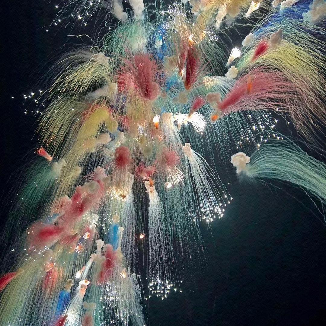 是霖霖