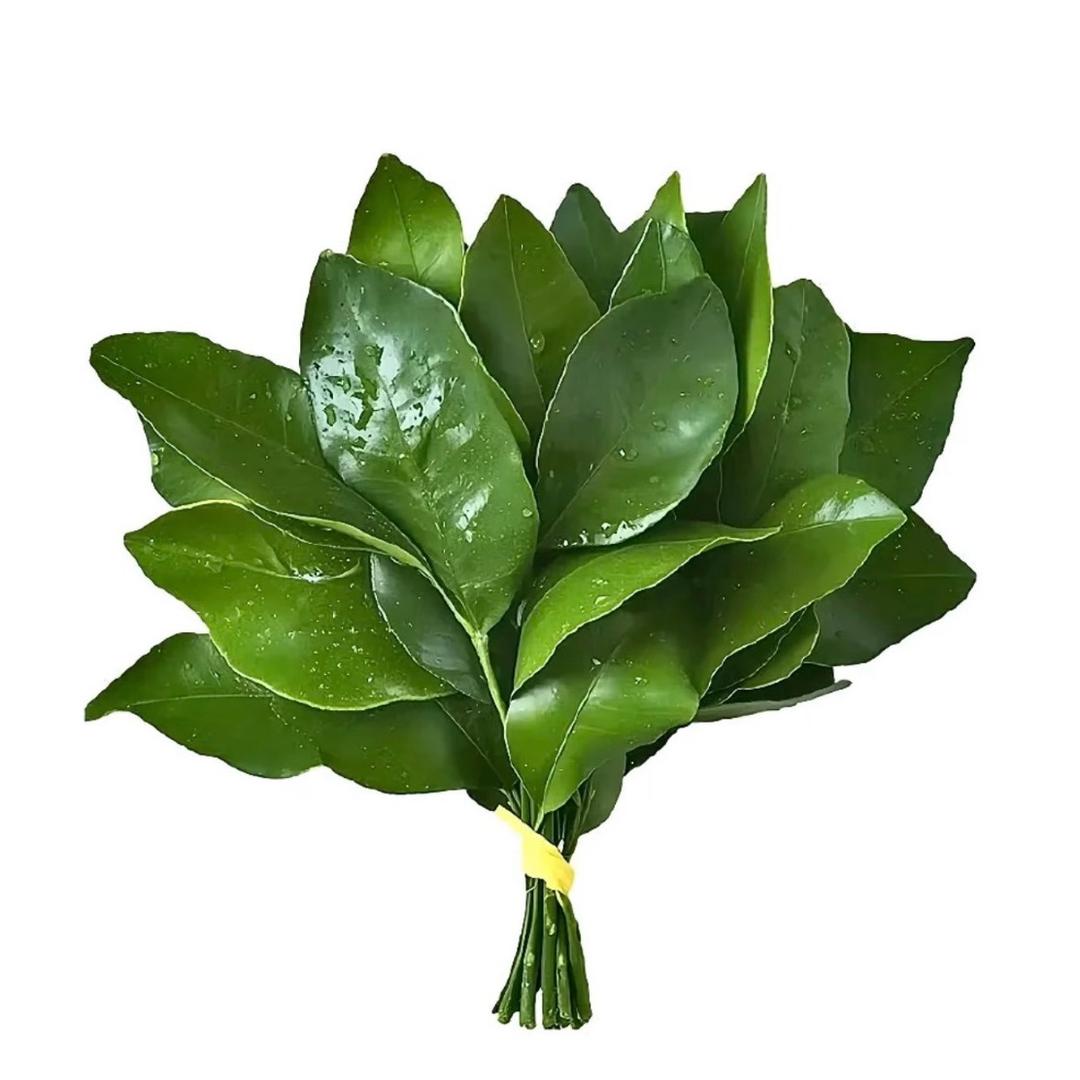 脏脏包（12.16🎂）