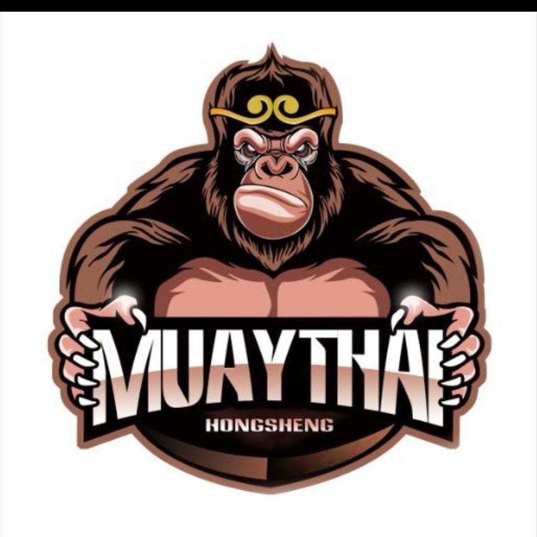 精武泓胜泰拳 散打 搏击 客服