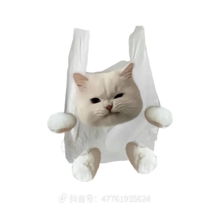 不与鱼