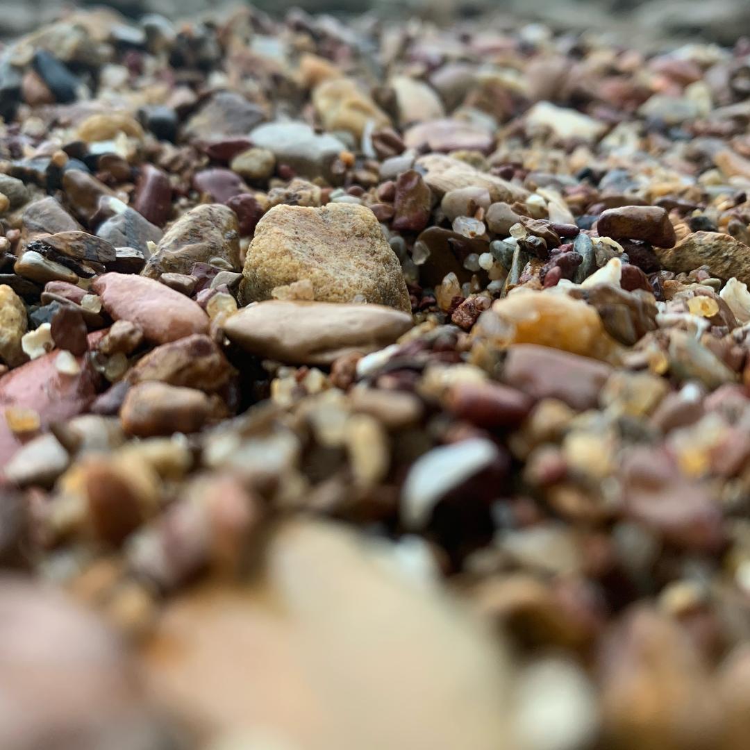 但亲爱的那并不是爱情