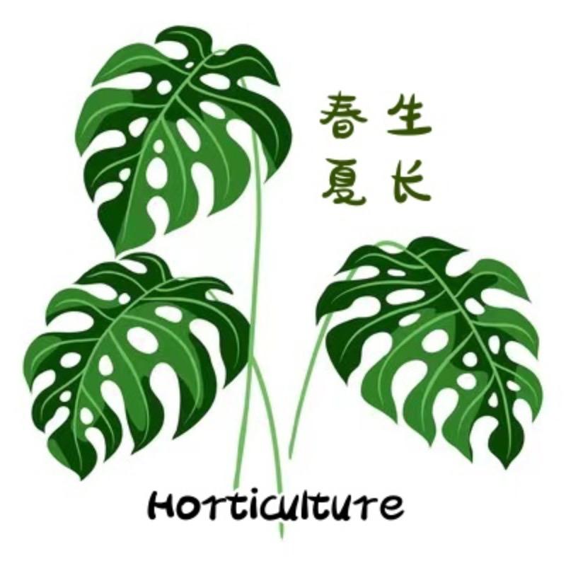 草木春生