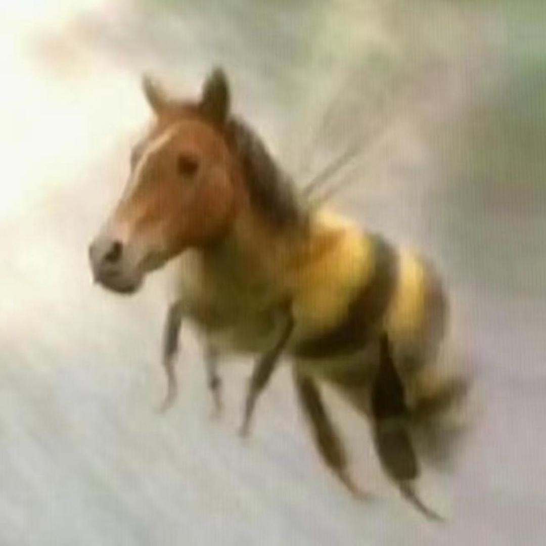 乐陶陶